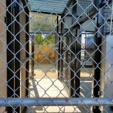New lion enclosure construction moorpark ca (3)